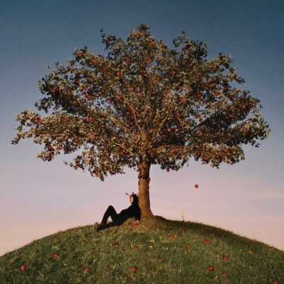 slowthai-tyron-record-weekly