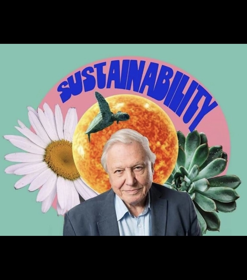 david-attenborough-artful-sonder-record-weekly