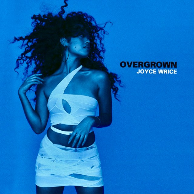 joyce-wrice-overgrown.jpg?w=640