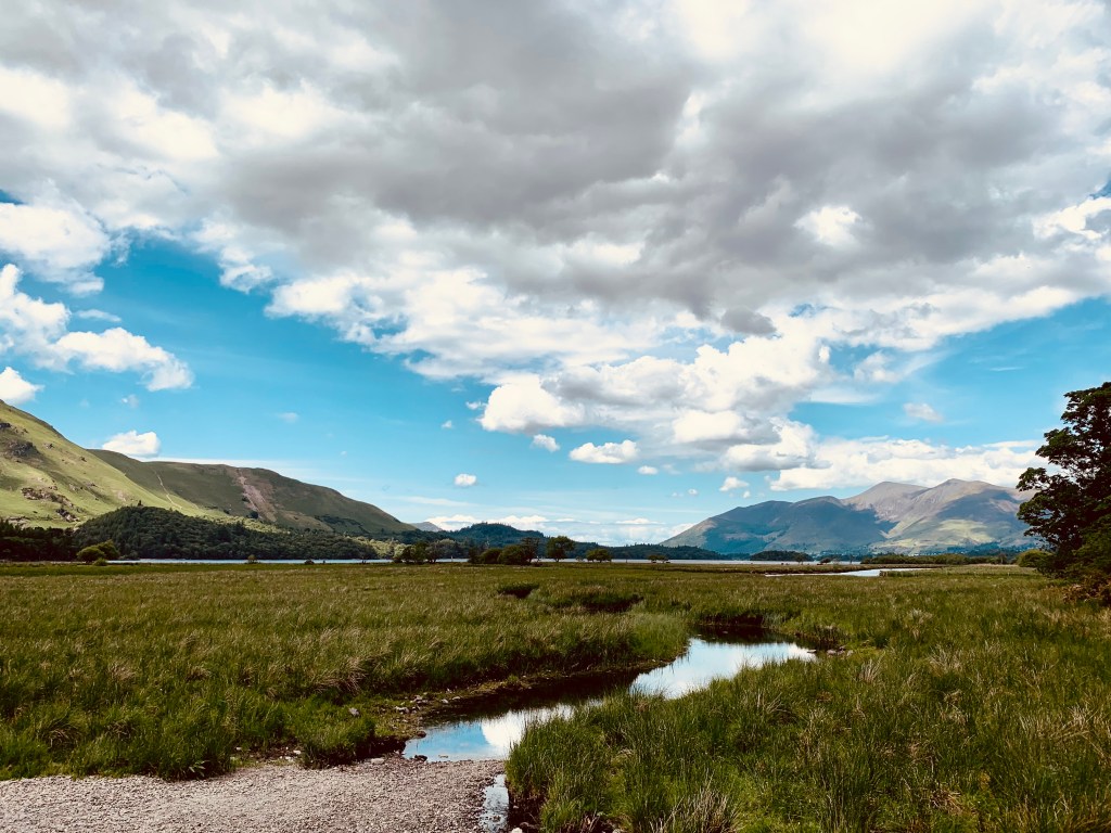 lake-district-new-release-roundup-record-weekly