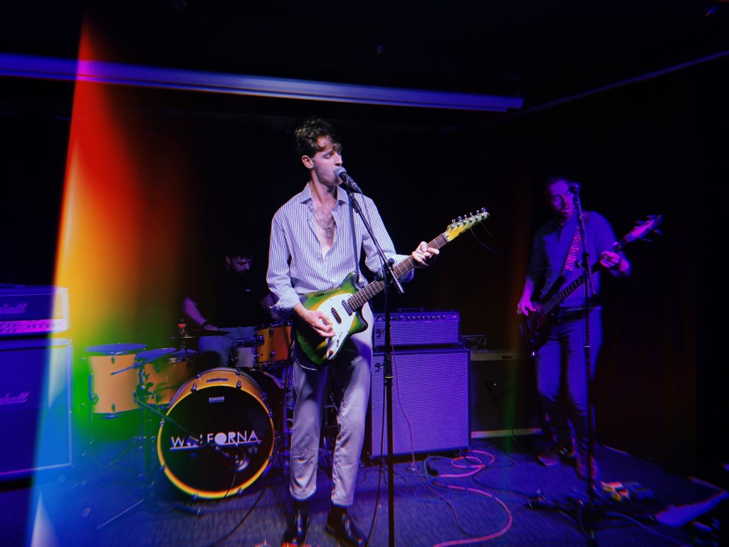 drella-fox-and-newt-leeds-2022-record-weekly