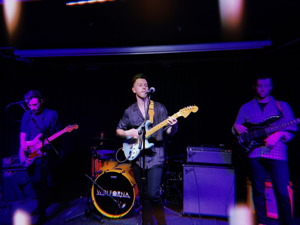 wolforna-fox-and-newt-leeds-october-record-weekly