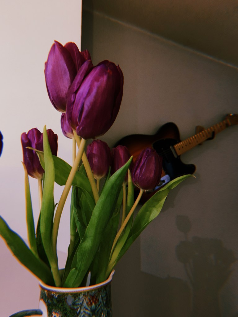 purple-tulips-february-2023-record-weekly