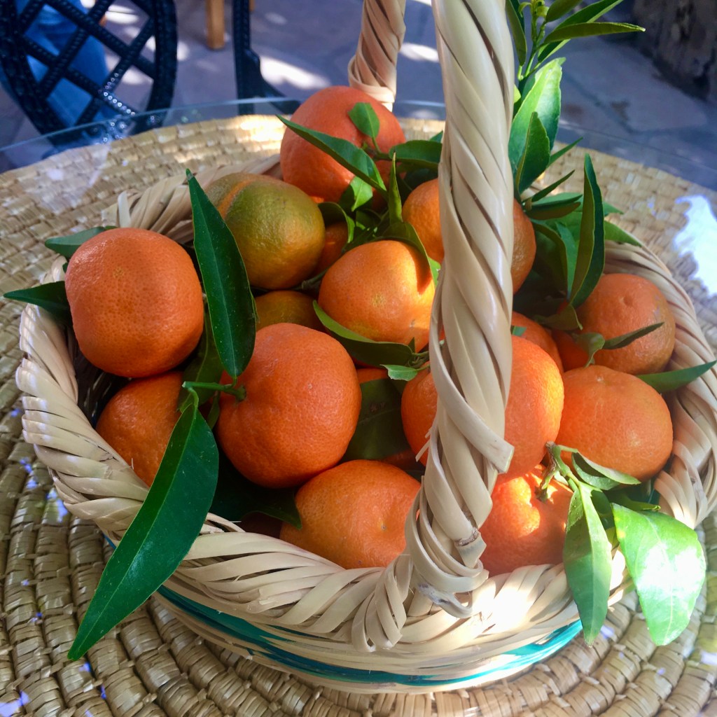 oranges-cyprus-record-weekly