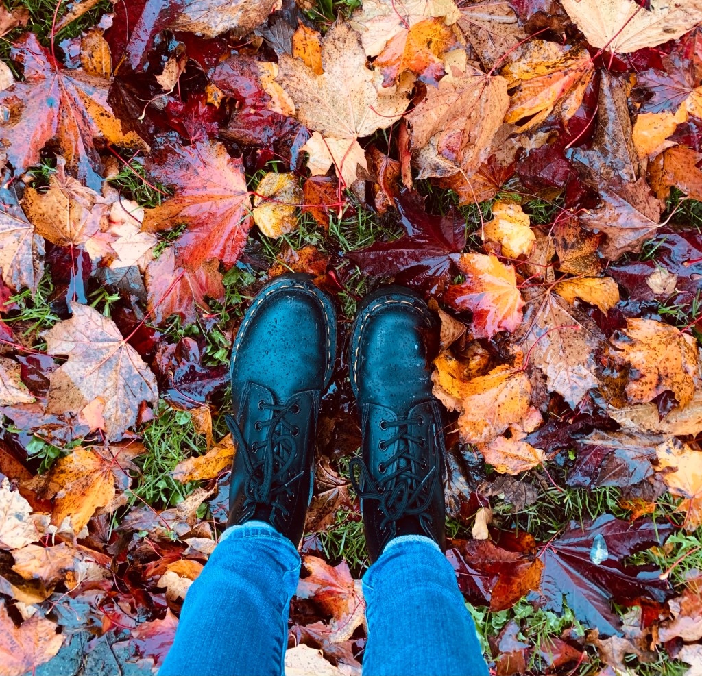 autumn-countryside-2023-record-weekly