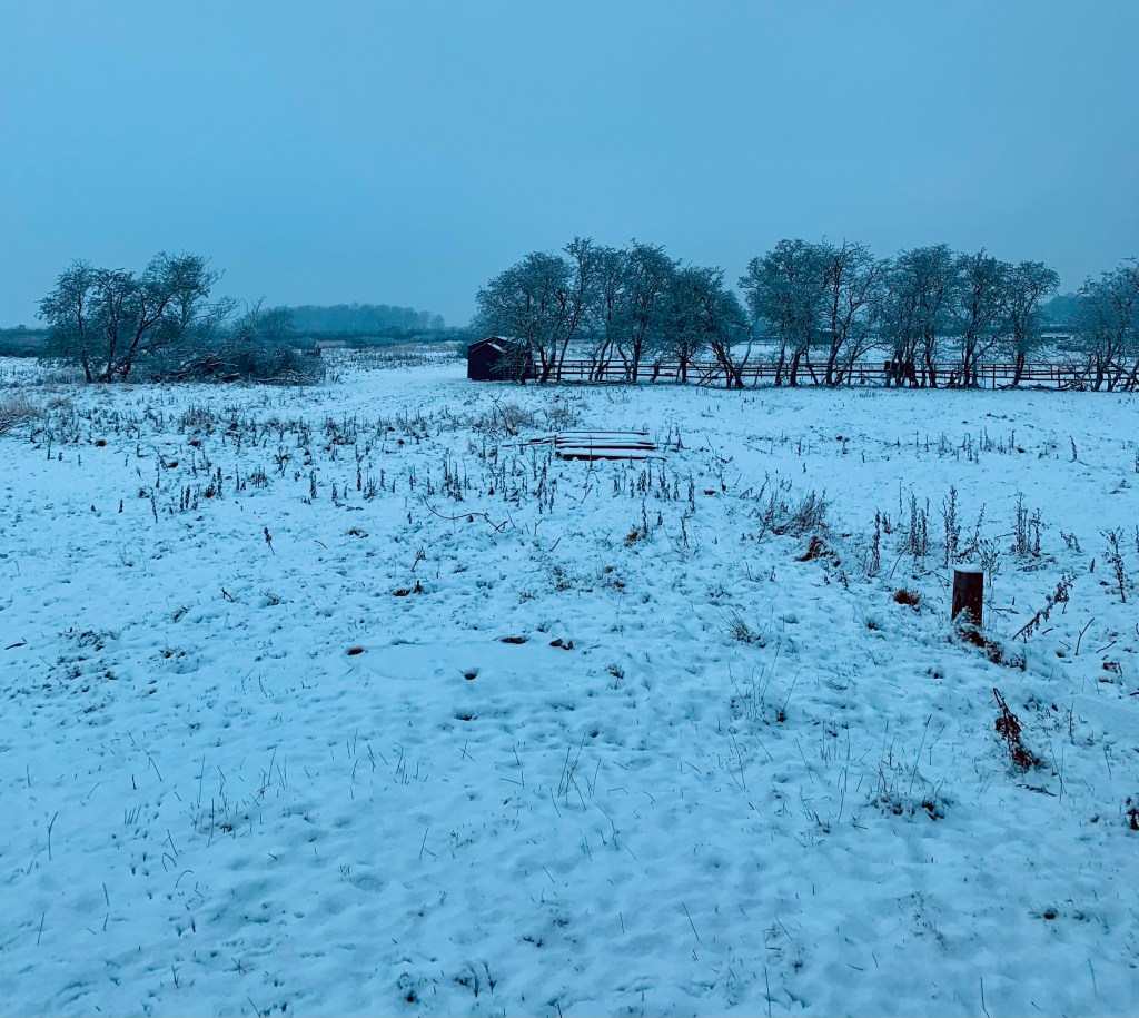 snow-december-2023-record-weekly