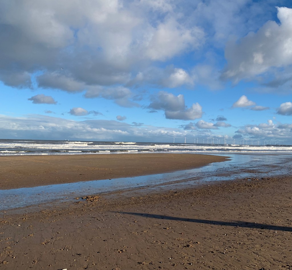 beach-january-2024-record-weekly