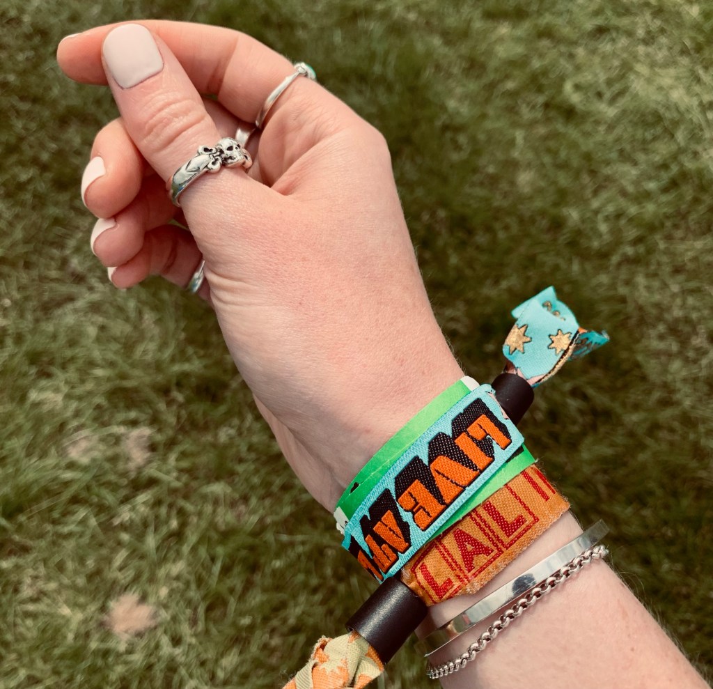 wristband-live-at-leeds-in-the-park-2024-review-record-weekly