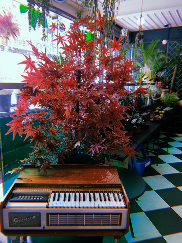 piano-plants-ancoats-summer-manchester-record-weekly