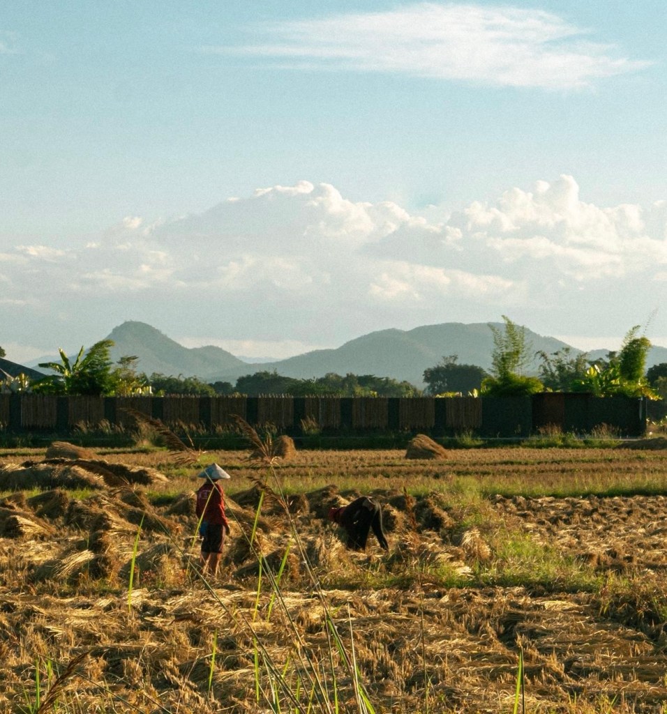 pai-countryside-thailand-record-weekly