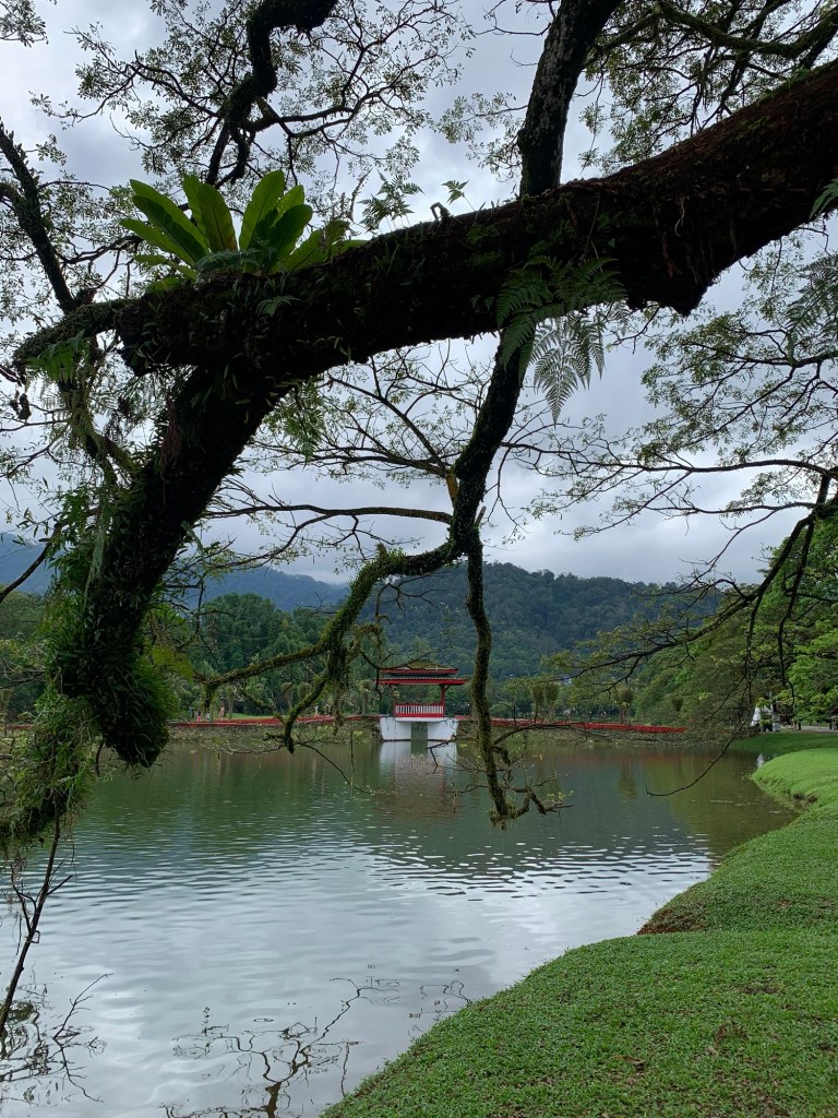 taiping-lake-gardens-chinese-new-year-2026-record-weekly