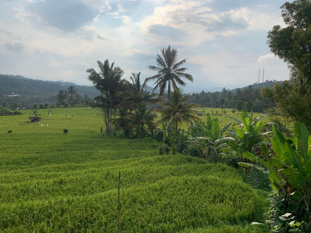 munduk-bali-2026-record-weekly