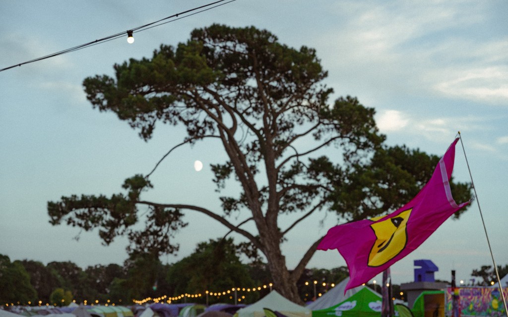 flag-moon-deer-shed-festival-2026-record-weekly