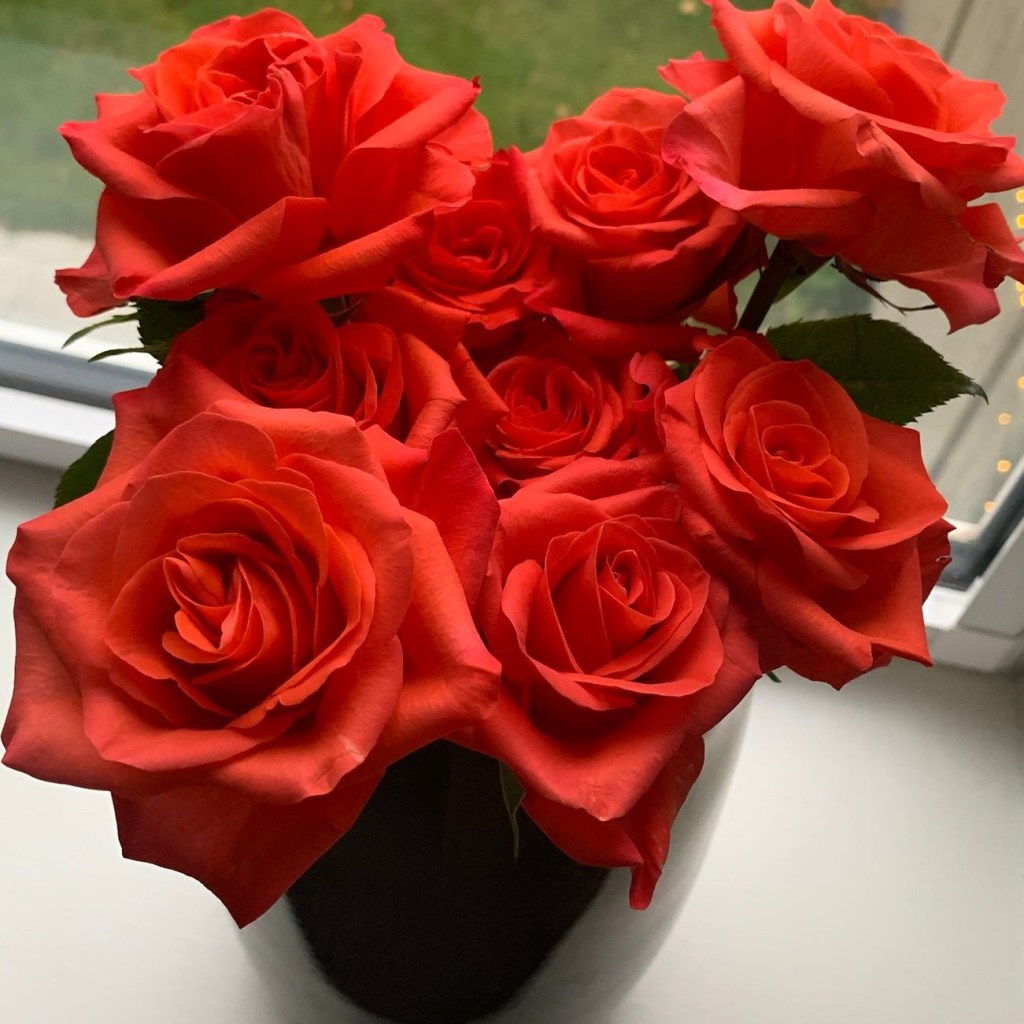 orange-roses-autumn-2026-record-weekly